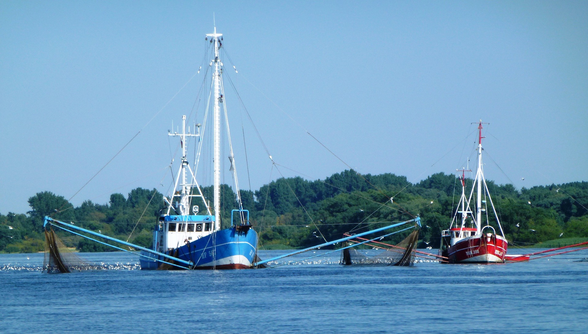 На ПМЭФ-2018 обсудят факторы устойчивости рыбной индустрии