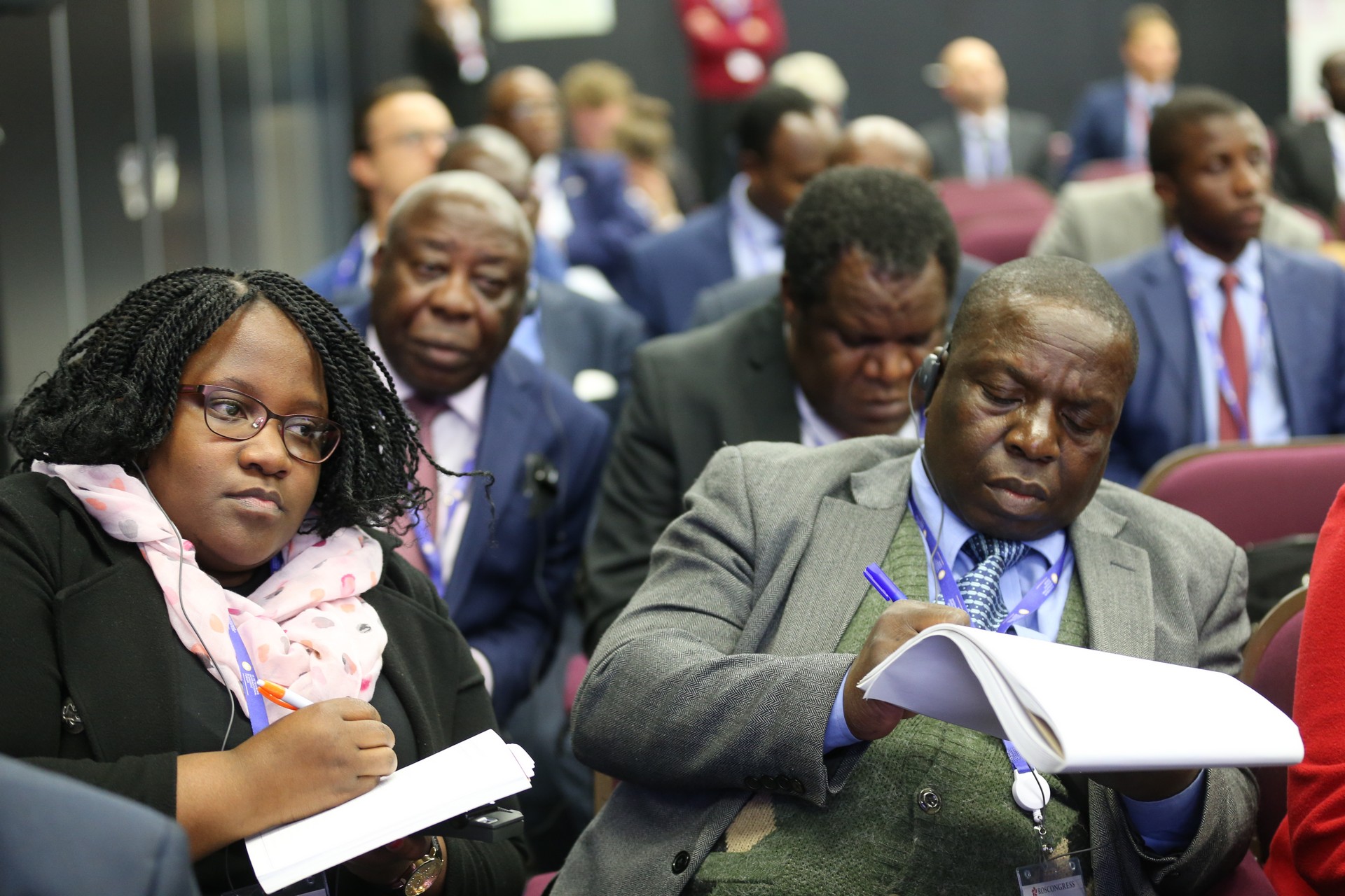 Делегация из стран Африканского континента примет участие в ПМЭФ-2018